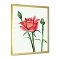 thumbnail image 2 of Designart 'Buds With Red Rose' Traditional Framed Art Print, 2 of 4