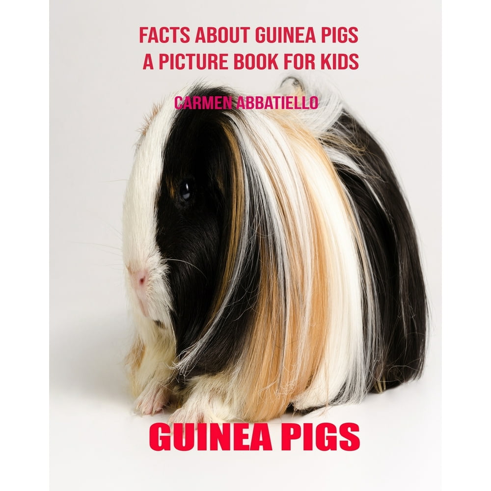 Facts About Guinea pigs A Picture Book For Kids (Paperback) Walmart