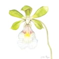 thumbnail image 3 of Goldberger, Jennifer 20x24 Black Modern Framed Museum Art Print Titled - Orchid Beauty I, 3 of 5
