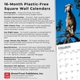 thumbnail image 6 of Goats in Trees | 2026 12x24" (Hanging) Square Wall Calendar | Plastic-Free, 6 of 9