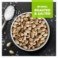 thumbnail image 4 of Wonderful Pistachios In Shell RE32Roasted Salted Nuts 15 Ounce Bags Pack Of 24 Protein Snack Onthe Go Individually Wrapped Healthy Snack, 4 of 6
