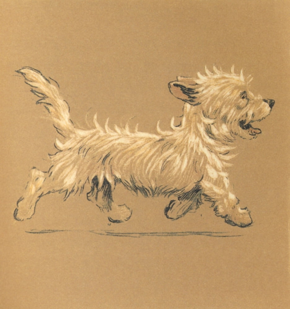 Mac 1912 Trotting A