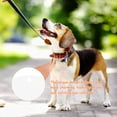 thumbnail image 4 of unbranded 2Ud Placas De Identificación Para Perros En Hierro Para Sublimación Y Regalo, 4 of 8