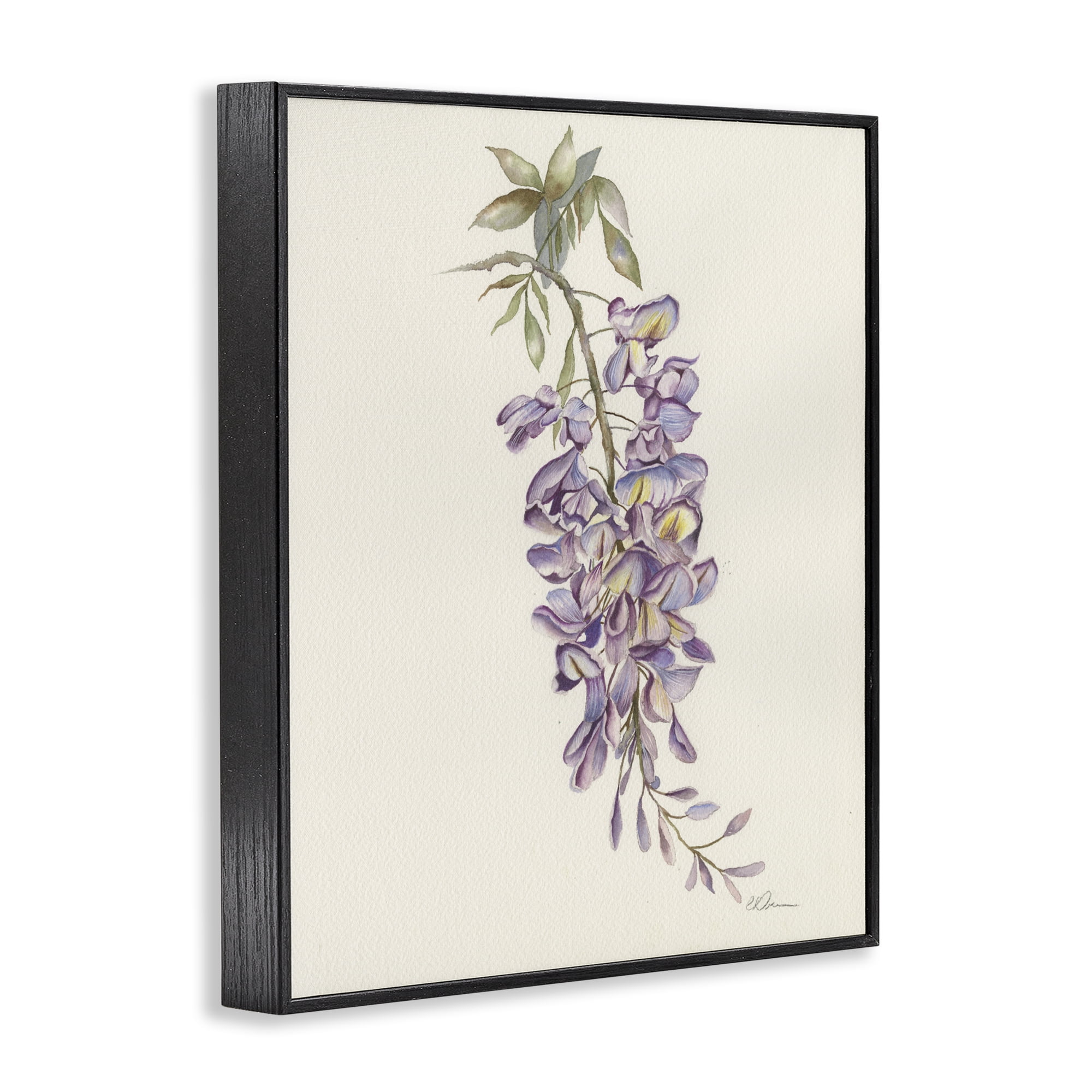 Stupell Industries Delicate Hyacinths Study Black Framed Giclee Art, design by Cady Driver