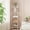 White, variant on Bookcase Bookshelf, Tempered Glass Arched Bookshelf for More Storage, Slim Shelving Unit for Bedroom, Bathroom, Home Office, Steel Frame