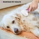 thumbnail image 3 of Cepillo Slicker Poodle Pet Mate Suelta Nudos para Peluquería en Perros Gatos Conejos, 3 of 8