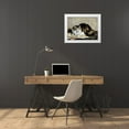 thumbnail image 3 of Van Den Eycken, Charles 24x19 White Modern Wood Framed Museum Art Print Titled - A Tabby Cat, 3 of 4