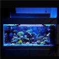 thumbnail image 2 of Cateissary Timing Goldfish Lamp Aquarium Light con luz de buceo con control remoto Iluminación novedosa Numero 3 Cateissary HA026919-03, 2 of 6