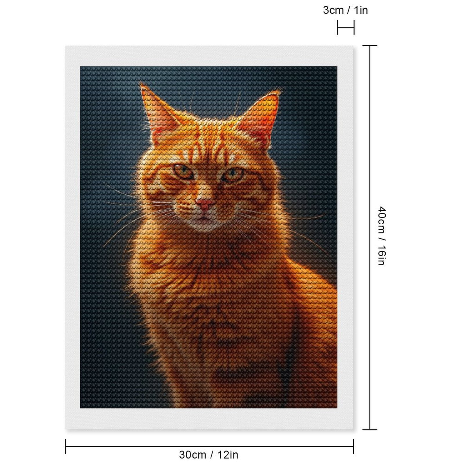 Diamond Art Kits for Adults, Orange Cat Regal Portrait 5D Diamond Painting Kits for Adults Beginners, DIY Full Drill Diamond Painting, Gem Art and Crafts 12x16
