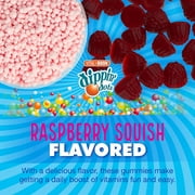 Dippin Dots Collagen + Biotin Pectin Gummies for Joints, Hair, Skin, and Nails, Raspberry Squish Flavor, 60 Count