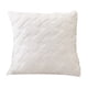 thumbnail image 1 of Funda de cojín de felpa, funda de almohada cuadrada con cremallera oculta para sala de estar, dormitorio, hogar, oficina, decoración, 1 of 8