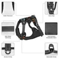 thumbnail image 6 of Fotbe Flame Metal Skull Pattern Dog Harness, No-Pull Pet Harness with 2 Leash Clips, Adjustable Soft Padded Dog Vest with Easy Control Handle for Large Dogs-Large, 6 of 6