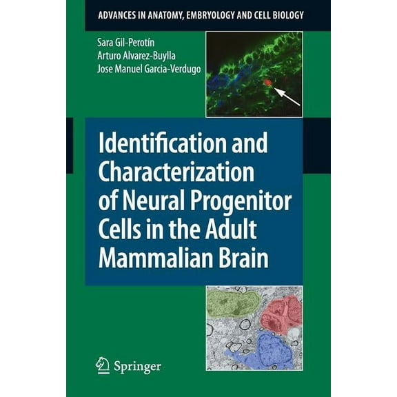 Advances in Anatomy, Embryology and Cell Identification and Characterization of Neural Progenitor Cells in the Adult Mammalian Brain, Book 203, (Paperback)
