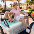 thumbnail image 3 of Golf Cart Seat Covers for 2 Seater,Teal White Grey Ombre Microfiber Cart Seat Towel Blanket,Blue Modern Abstract Aesthetics Absorbent Breathable Non Slip Bench Seats Protector for Golf Course 51"x31", 3 of 9