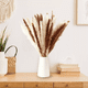 thumbnail image 2 of Pampas Secas 30pcs Plantas Decorativas Flores Artificiales 15Blanco+15Rojo 30Pcs, 2 of 5