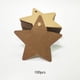 thumbnail image 1 of Etiquetas en forma de estrella BLESIY 100 Etiquetas Colgantes, 1 of 7