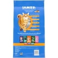 thumbnail image 3 of Iams Healthy Enjoyment Chicken & Salmon Recipe Dry Cat Food, 6 Lb Bag, 3 of 8