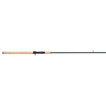 Pflueger President XT Surf Fishing Rod, 9' Medium Heavy