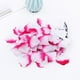 thumbnail image 5 of 400 piezas / paquete de flores artificiales de plástico rosa pétalo de Roseleaf para banquete de bodas Eventos nupciales Decoración (rojo + rosa + púrpura claro + blanco puro), 5 of 6