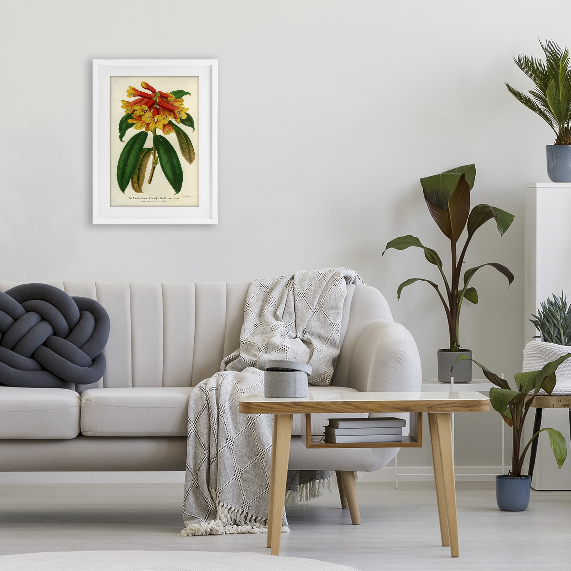 Stupell Industries Orange Yellow Rhododendron White Framed Print Under Glass, design by Print Collection