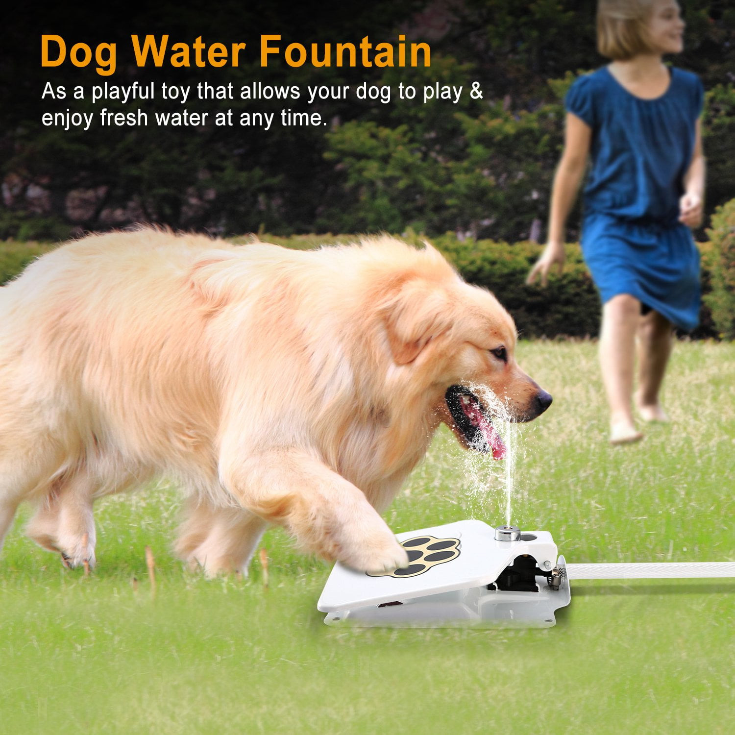 Doggie Demand™ Motion Activated Water Spout (Optional Pet Hose)