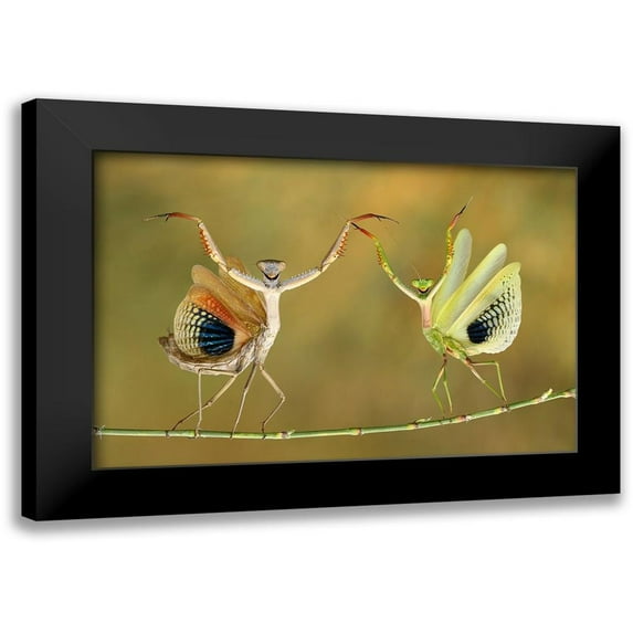 Baglar, Hasan 14x11 Black Modern Framed Museum Art Print Titled - Show Time