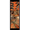 thumbnail image 2 of Rauscher, Michel 11x24 Gold Ornate Wood Framed with Double Matting Museum Art Print Titled - Global Orange, 2 of 4