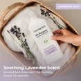 thumbnail image 4 of Heritage Park Luxury Laundry Detergent | Dermatologist Tested Plant based Natural & Enzyme Laundry Detergent | Sensitive Skin Friendly - Lavender Mist (32 fl oz), 4 of 8