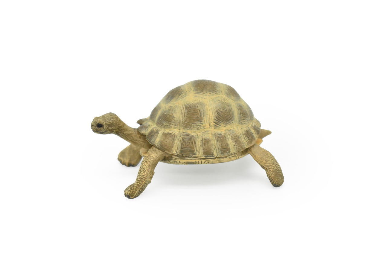 Tortoise Toy Animal, Turtle, Realistic Rubber Replica, Hand Painted