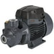 thumbnail image 1 of Bomba para agua periférica 3/4 HP Truper Truper BOAP-3-4A2, 1 of 5