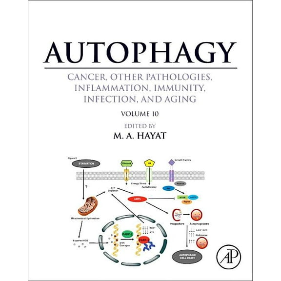 Autophagy: Cancer, Other Pathologies, Inflammation, Immunity, Infection, and Aging: Volume 10, (Hardcover)