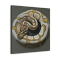 thumbnail image 2 of Ball Python Realism. - Canvas, 2 of 10