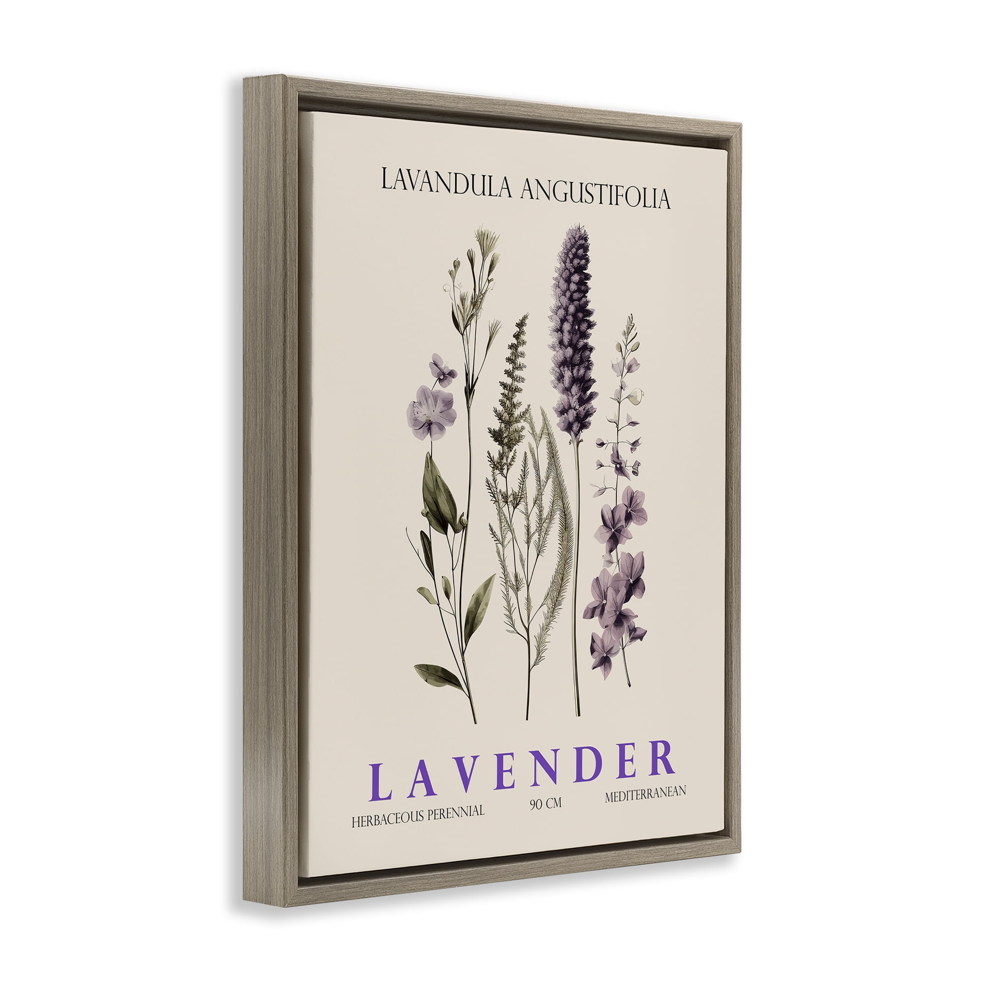 Stupell Industries Natural Lavender Bundle Brown Framed Floater Canvas Wall Art, design by Christopher Giampietro