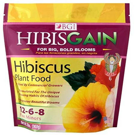 BGI Hibisgain Hibiscus Plant Food, 2 lbs (Best Plant Food For Hibiscus)
