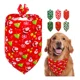 thumbnail image 1 of Accesorios Para Perros Y Gato Elementos De Navidad Paliacate, 1 of 8