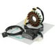 thumbnail image 3 of Estator, regulador y junta para Kawasaki EL 250 252, GPX 250 R, Ninja 250 86-07, 3 of 12