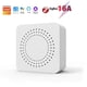 thumbnail image 1 of CoRui Tuya MINI Zigbee3.0 Switch Hub Gateway Two Way Control Remote Control, 1 of 5