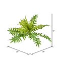 thumbnail image 2 of Vickerman FI191226 Fougère Verte de 26 Po, 2 of 2
