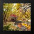 thumbnail image 2 of Frank, Assaf 15x15 Black Modern Framed Museum Art Print Titled - Gapstow bridge in autumn-Central Park-New York city, 2 of 5