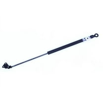 Left Liftgate Lift Support - Compatible with 1996 - 2000 Honda Civic Hatchback 2-Door 1997 1998 1999
