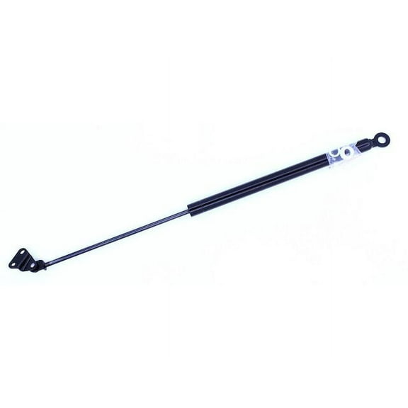 Left Liftgate Lift Support - Compatible with 1996 - 2000 Honda Civic Hatchback 2-Door 1997 1998 1999