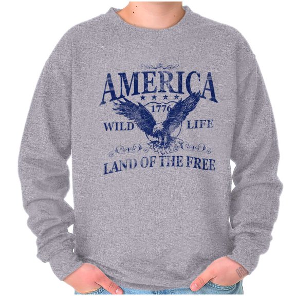USA Land of the Free Patriotic Eagle Unisex Plus Fleece Graphic Sweatshirt Brisco Brands 2X
