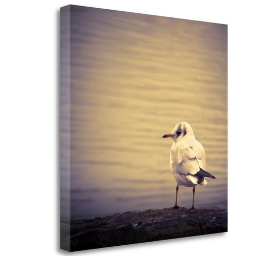 Tangletown Art, 20 x 20 "Are You Watching Me? " by Joanna Pechmann, Gallery Wrap