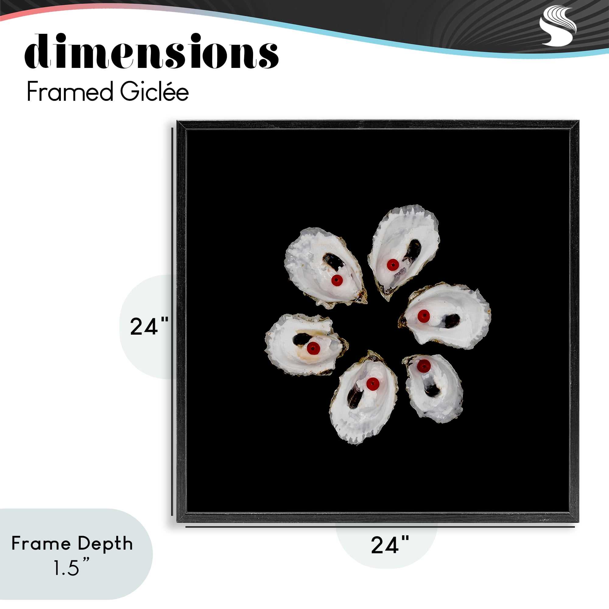 Stupell Industries Oyster Shells Symmetry Black Framed Giclee Art, design by Beth Adoette
