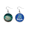 thumbnail image 1 of Ocean Green medusas ciencia naturaleza foto Cuelgue la joyería del pendiente del hielo del invierno de la gota Unbranded M, 1 of 3