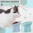 thumbnail image 3 of Zhehao 2 Pieces Plastic Raised Bowl Tilted 15 Degrees Elevated Cat Food and Water Bowls Set Anti Vomit Dog Kitten Food Dishes Pet for Cats and Small Dogs (Green, Blue), 3 of 6