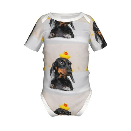

Coaee Dachshund Sitting in Bathtub for Soft Baby Short-Sleeve Bodysuit Baby Climbing Clothes Baby Girls Boys Bodysuit Romper-6 Months