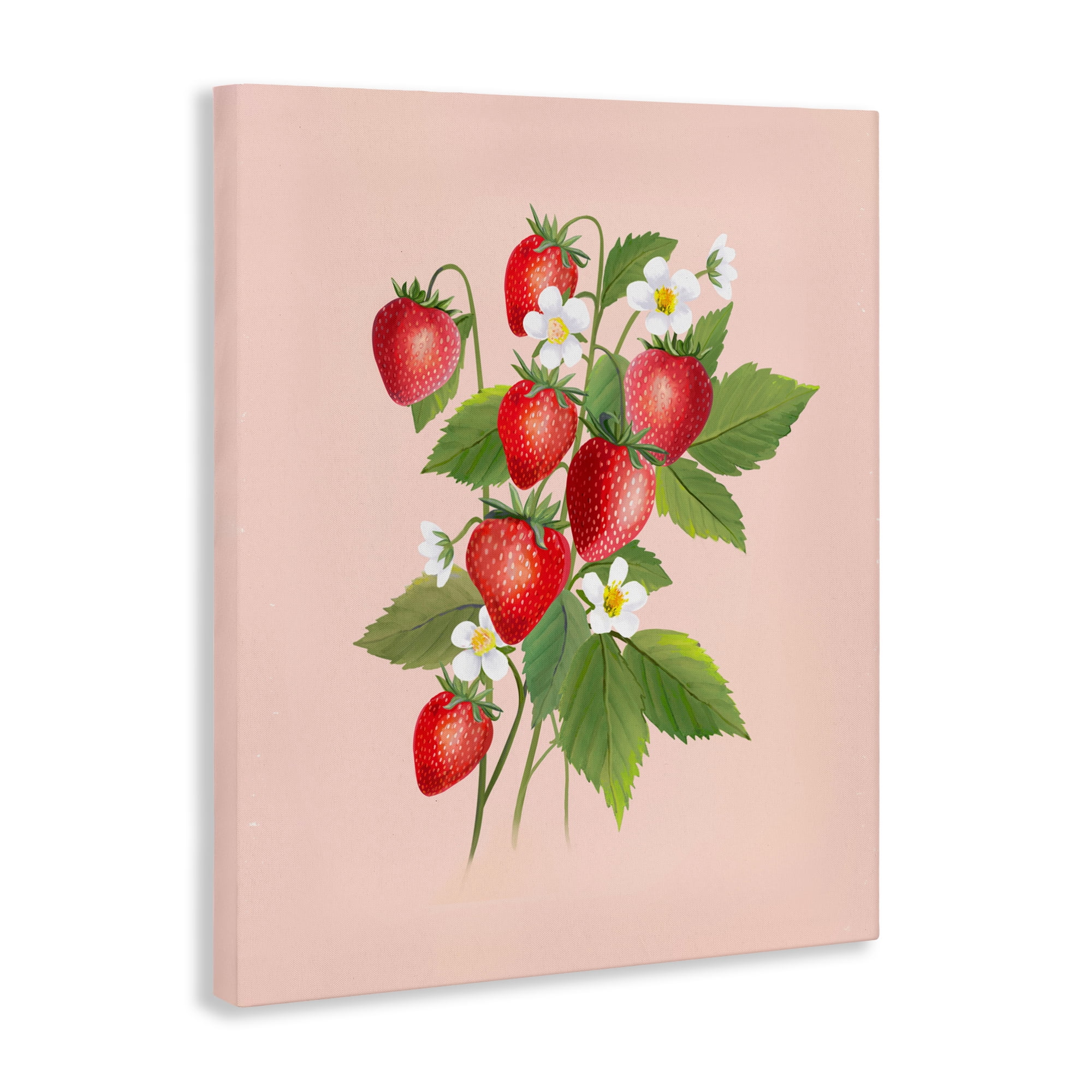 Stupell Industries Cottage Garden Strawberries Canvas Wall Art, design by Diane Neukirch