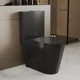thumbnail image 6 of Ace 1-Piece 0.8/1.28 GPF Dual Flush Elongated Toilet in Black, Seat Included, 6 of 16