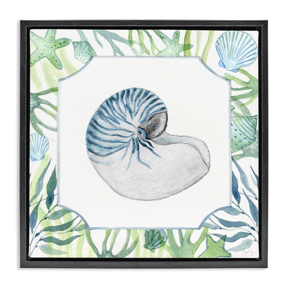 Stupell Industries Contemporary Seaweed & Seashells Aquatic Black Floating Frame Canvas Art, 18 x 18, by Janet Tava